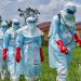 Eboladan ölənlərin sayı artır