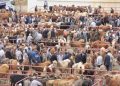 Azərbaycanda 14 heyvan bazarı yenidən fəaliyyətə başladı