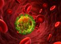 BMT xəbərdarlıq edir: İİV-lə mübarizəyə ayrılan vəsaitin azalması yeni epidemiya riski yaradır