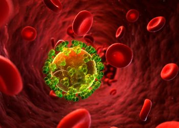 BMT xəbərdarlıq edir: İİV-lə mübarizəyə ayrılan vəsaitin azalması yeni epidemiya riski yaradır