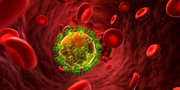 BMT xəbərdarlıq edir: İİV-lə mübarizəyə ayrılan vəsaitin azalması yeni epidemiya riski yaradır