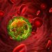 BMT xəbərdarlıq edir: İİV-lə mübarizəyə ayrılan vəsaitin azalması yeni epidemiya riski yaradır