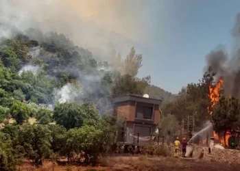 Türkiyədə meşə yanğını böyüyür: yüzlərlə sakin təxliyə edildi