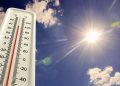 Avropada güclü isti hava dalğası: Temperatur 47 dərəcəyə çatıb
