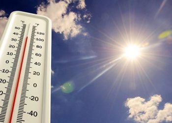 Avropada güclü isti hava dalğası: Temperatur 47 dərəcəyə çatıb