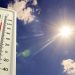 Avropada güclü isti hava dalğası: Temperatur 47 dərəcəyə çatıb