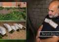 Sabirabadda narkotik tərkibli bitkilər yetişdirən 47 yaşlı kişi tutulub