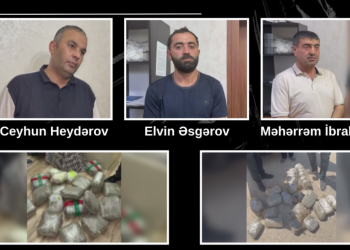 Qaradağ və Suraxanıda 46 kiloqram narkotik aşkarlanıb