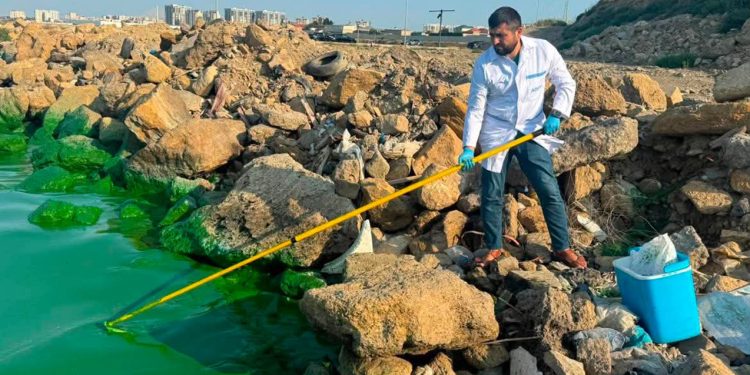 Böyükşor gölünün bir hissəsi yaşıllaşıb, səbəbi araşdırılır – FOTO