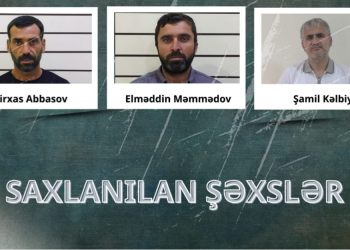 Lənkəranda narkotik tərkibli bitkilər yetişdirən 3 nəfər həbs edilib