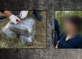 İmişlidə 10 kiloqramdan artıq narkotik aşkarlanıb