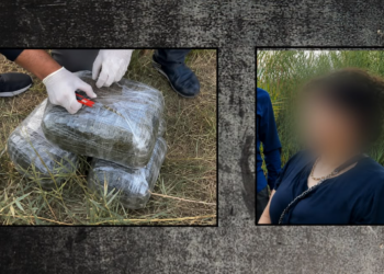 İmişlidə 10 kiloqramdan artıq narkotik aşkarlanıb