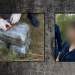 İmişlidə 10 kiloqramdan artıq narkotik aşkarlanıb