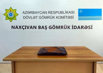 Naxçıvanda Britaniyaya gedən yük maşınından narkotik çıxıb