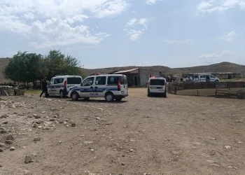 Tovuzda qanlı mübahisə: 65 yaşlı qadın öldürüldü
