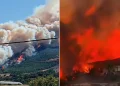 Türkiyədə meşə yanğınları ilə bağlı son vəziyyət açıqlandı