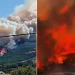 Türkiyədə meşə yanğınları ilə bağlı son vəziyyət açıqlandı