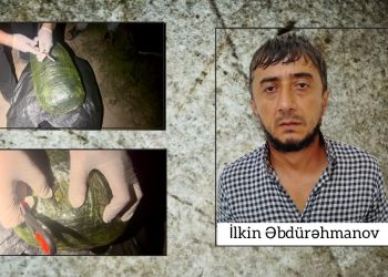 Sabirabadda 8 kiloqram narkotik vasitə aşkarlanıb