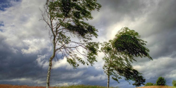 Bakıda temperatur enəcək, bəzi ərazilərdə yağış yağacaq