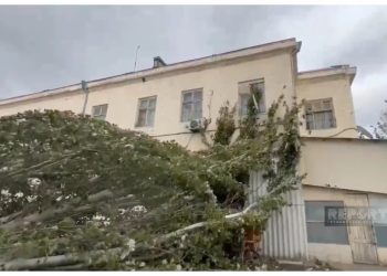 Sumqayıtda güclü külək ağacı peşə liseyinin üzərinə aşırıb