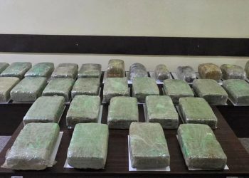 İrandan Azərbaycana paraplanla 65,5 kiloqram narkotik keçirməyə cəhdin qarşısı alınıb