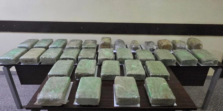 İrandan Azərbaycana paraplanla 65,5 kiloqram narkotik keçirməyə cəhdin qarşısı alınıb