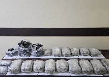 İrandan Azərbaycana PUA və paraplanla narkotik keçirilməsinin qarşısı alınıb
