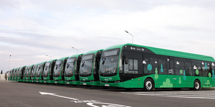 Bakıda avtobusların sayı rekord həddə çatdırılır