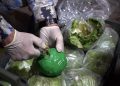 Kahı və kərəviz yükünün içindən 80 kiloqrama yaxın marixuana çıxdı