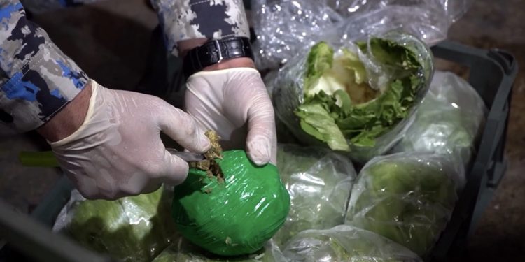 Kahı və kərəviz yükünün içindən 80 kiloqrama yaxın marixuana çıxdı