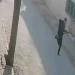 Liseyə silahlı hücum edən şəxs saxlanılıb