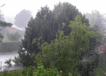 Bakıda leysan, bölgələrdə şimşək və dolu gözlənilir