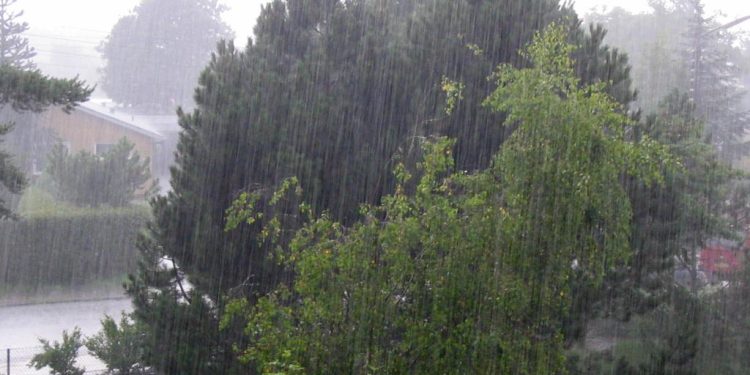 Bakıda leysan, bölgələrdə şimşək və dolu gözlənilir